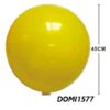 DOMI1577 RJ